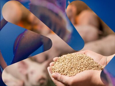 Illustrasjonsbilde i forskningsrådets-profil som viser to hender som holder fôr-pellets