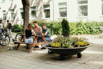 bilde av studenter som sitter på en benk og jobber