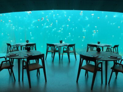 Mange maneter sett fra vinduet ut i havet i undervannsresrestauranten Under 